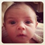 George Farrow - @gef_003 - Instagram