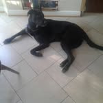 George Fenimore - @george.fenimore.9 - Instagram