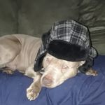 George Ferrell - @loyhuiwisepic - Instagram