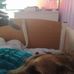 George Ferroni - Facebook