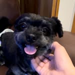 George - @georgesecretfiles - Instagram