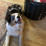 George Martin Flannery - @georgeflannery - Instagram