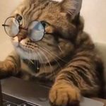 George Forest - @georgeforest71 - Instagram