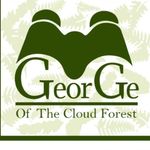 George Of The Cloud Forest - @george_of_the_cloudforest - Instagram