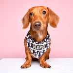 George Romeo Rouge - @georgeforthewien - Instagram