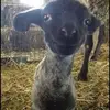georgefortin767 - @georgefortin767 - TikTok
