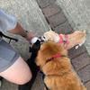 Karyn Fredette St George - @karyn.fredette.st - TikTok