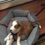 George Fredrickson - Facebook