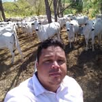 George Freitas - @geofreitas.zoo.jus - Instagram
