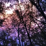 George Galis - @thegeorgegalis - Instagram