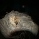George Garces - @formester252 - Instagram