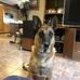 George Gaudet - Facebook