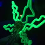 George Geer - @geer.george - Instagram