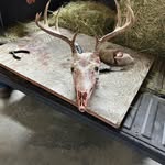 George geer - @12georgegeer - Instagram