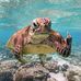 George Geier - Facebook