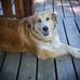 George Gendron - Facebook