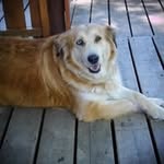 @georgegendron02 - Instagram