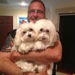 George gentile - @gentile.george - Instagram