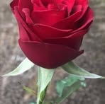 George Gerald Benjamin - Facebook