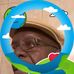 George Gillespie - Facebook