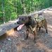 George Ginn - Facebook