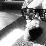 George der Dogo Gläser - @georgederdogo - Instagram