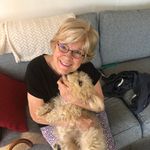 GeorgeandSandy Glaser - @georgeandsandyglaser - Instagram