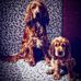 George Glenn - Facebook