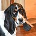George Glickman - Facebook