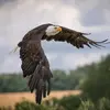 Jesuslover777 - @georgeglick - TikTok