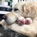 George Go - Facebook