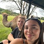 @georgegosse - Instagram