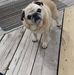 George Gough - Facebook