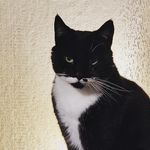 George gough - @gbg7710 - Instagram