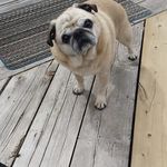 George Gough - @george.gough.5070 - Instagram