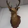georgegranada1 - @georgegranada1 - TikTok