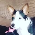 George Greasley - @georgegreasley - Instagram