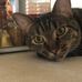 George Greaves - Facebook
