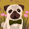 George Grech - @george.grech - TikTok