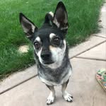George Greenlee - @george_chipin - Instagram
