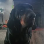 George Griego - @coolbus71 - Instagram