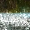 georgegrier835 - @relaxman22fan - TikTok