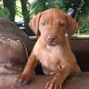 George Grigg - @george.grigg - TikTok