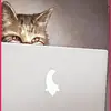 georgesgrommes - @georgesgrommes - TikTok