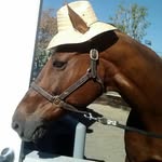 George Groth - @adventuresofjustgeorge - Instagram