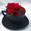 George Grubert - @georgegrubertt - TikTok