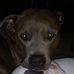 George Guinn - Facebook