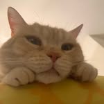 George Hale - @georgehale.adventures - Instagram
