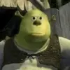 George Halsey - @georgehalsey - TikTok