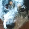 George Hammett - @george.hammett6 - TikTok